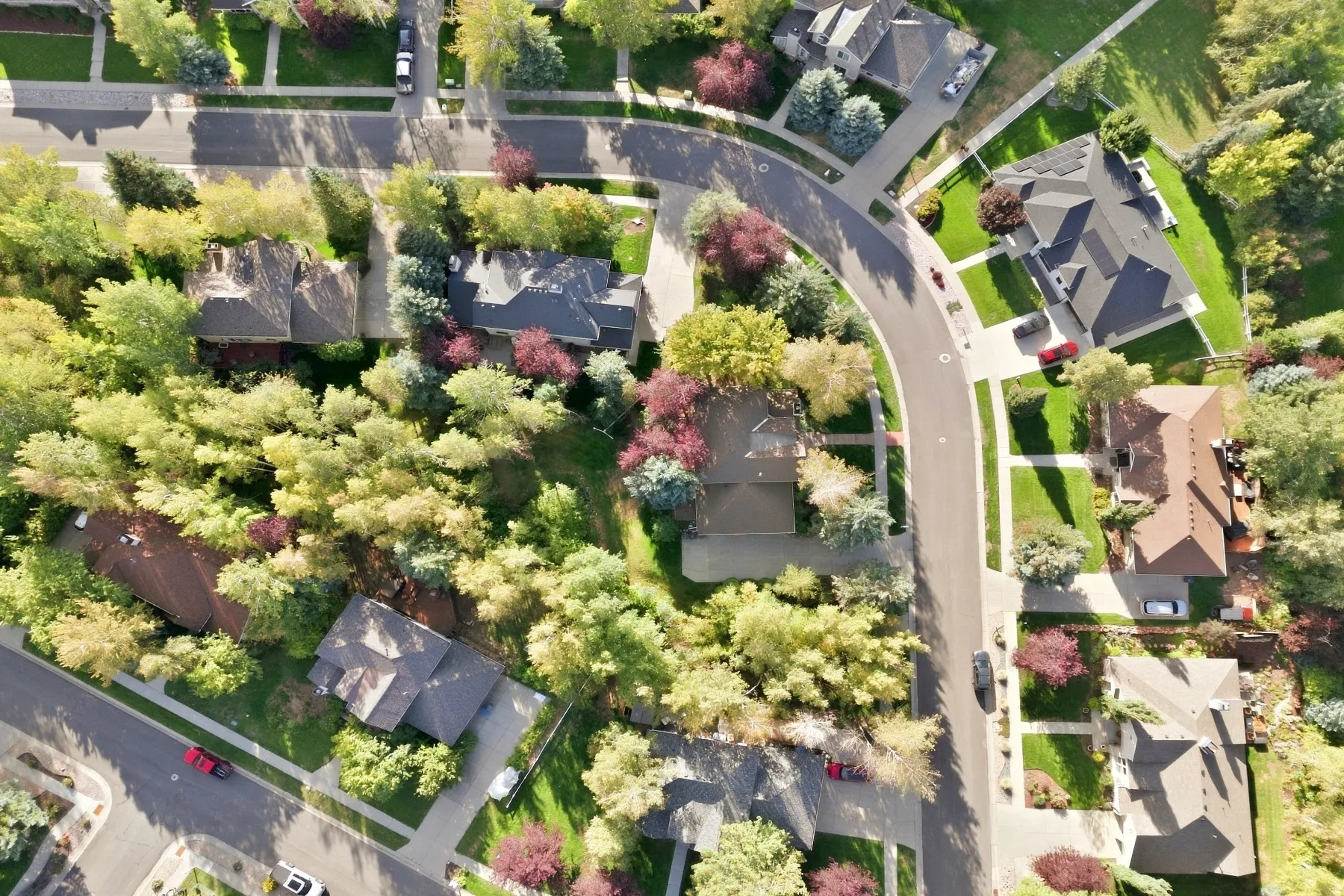 Residential neighborhood with mature trees and paved streets