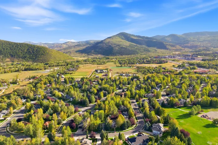 Lush green landscape featuring mature trees and winding roads