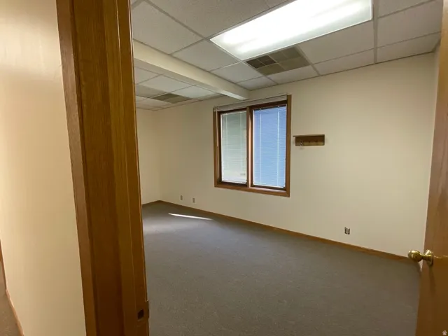 Recessed grid ceiling, two large fluorescent lighting fixtures, two windows with blinds, wood-finish window frames, and grey carpet flooring