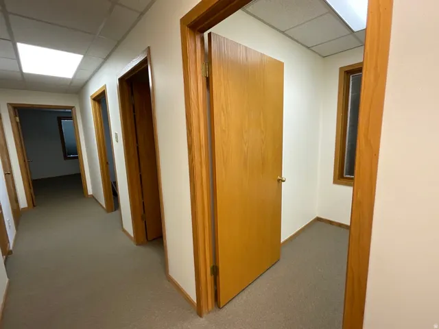 Hallway featuring light-toned walls, wood-finish door frames, a drop ceiling with integrated lighting, and carpeted flooring