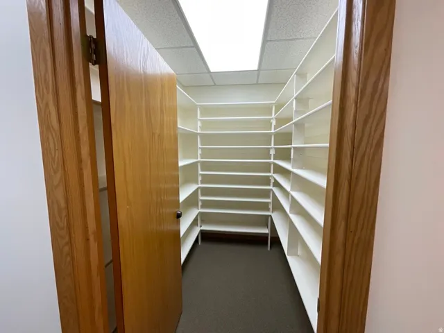 Wood-paneled door opening to a space with extensive white shelving and ceiling-mounted lighting