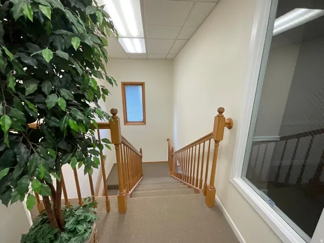 Carpeted staircase with wood railings, a window with blinds, and ceiling-mounted fluorescent lighting