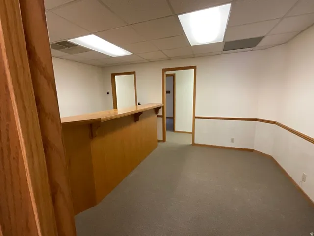 Built-in wood-finish counter with shelving, carpeted flooring, two paneled doors, and ceiling with recessed lighting