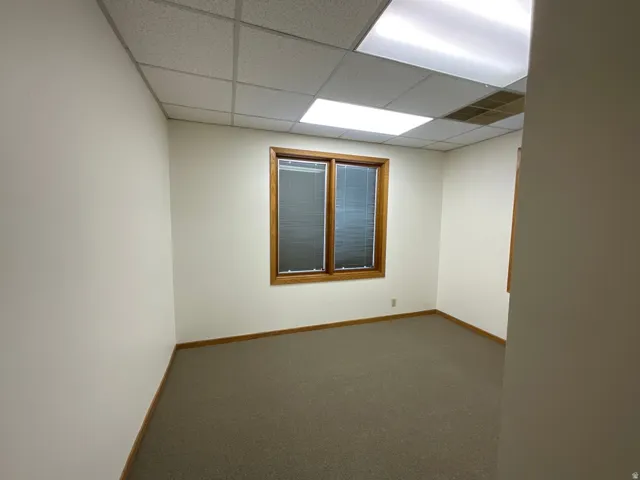 Recessed panel ceiling, wood-framed window, horizontal blinds, neutral wall paint, and carpet flooring