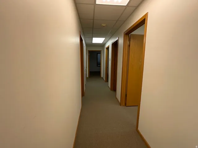 Carpeted hallway with wood-finish door frames and a drop ceiling with recessed lighting