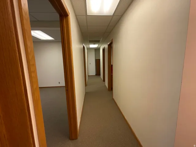 Neutral wall finishes, carpeted flooring, and wood-finish door frames