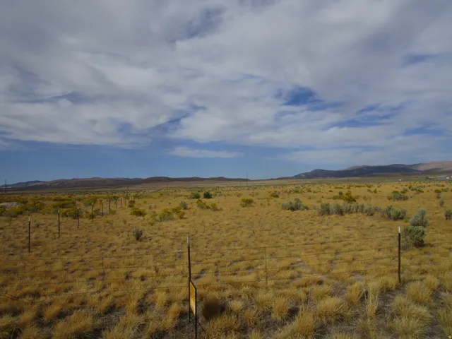 Expansive open land featuring natural grasses and distant mountains under a broad sky