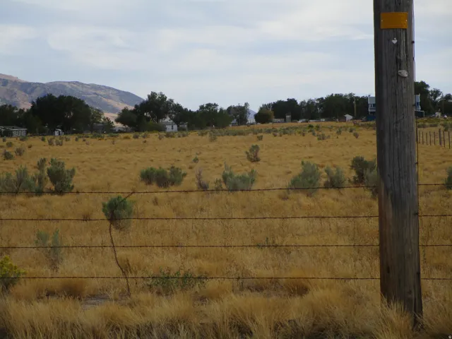 Expansive open land with natural grasses, sparse shrubbery, and distant mountainous terrain