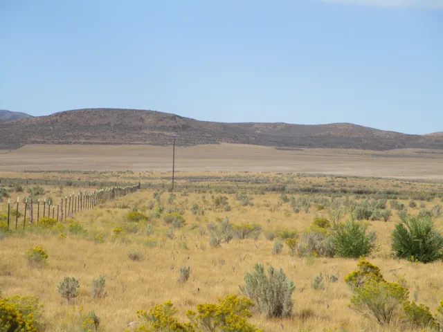 Expansive open terrain featuring natural vegetation, a clear horizon, and distant elevated landforms