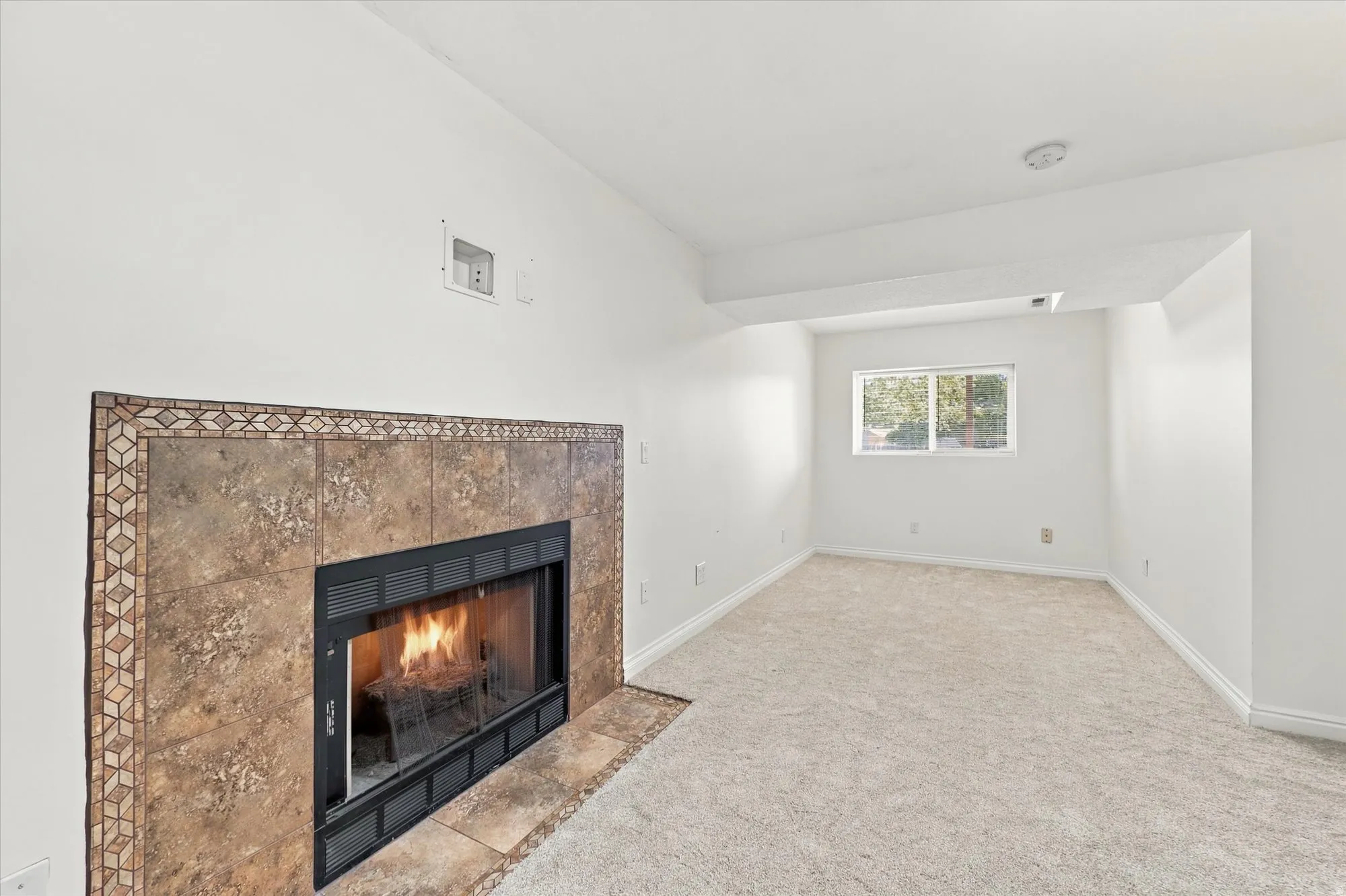 Fireplace featuring a tiled surround with decorative trim, carpet flooring, and a window