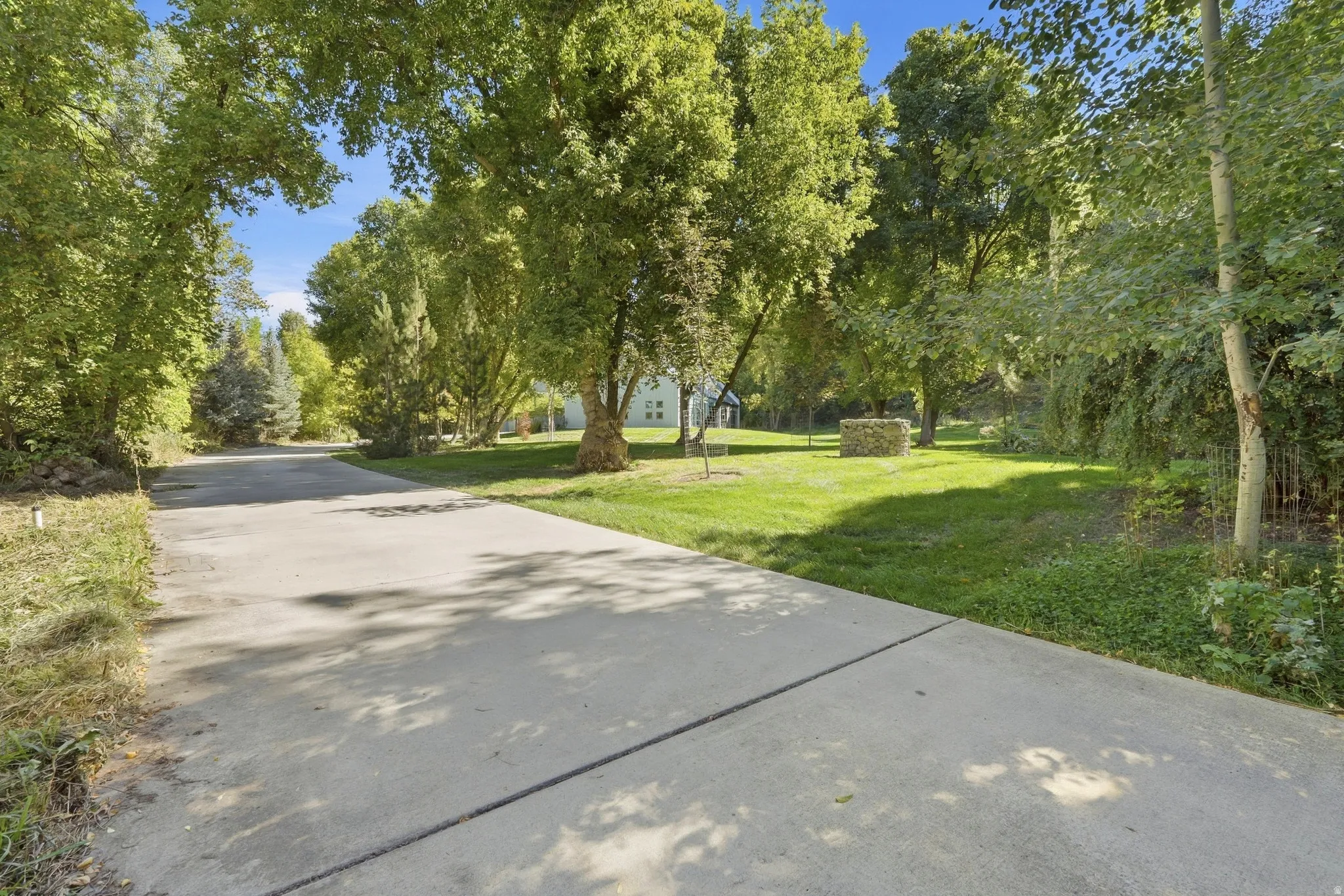 Concrete driveway with extensive surrounding landscaping and mature trees