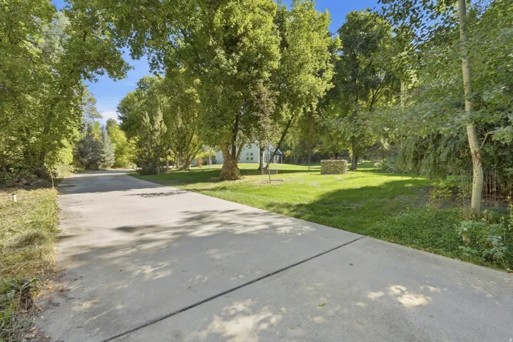 Concrete driveway with extensive surrounding landscaping and mature trees