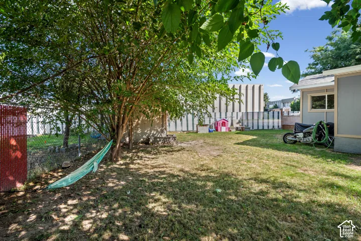 Grassy backyard with mature trees, chain-link fencing