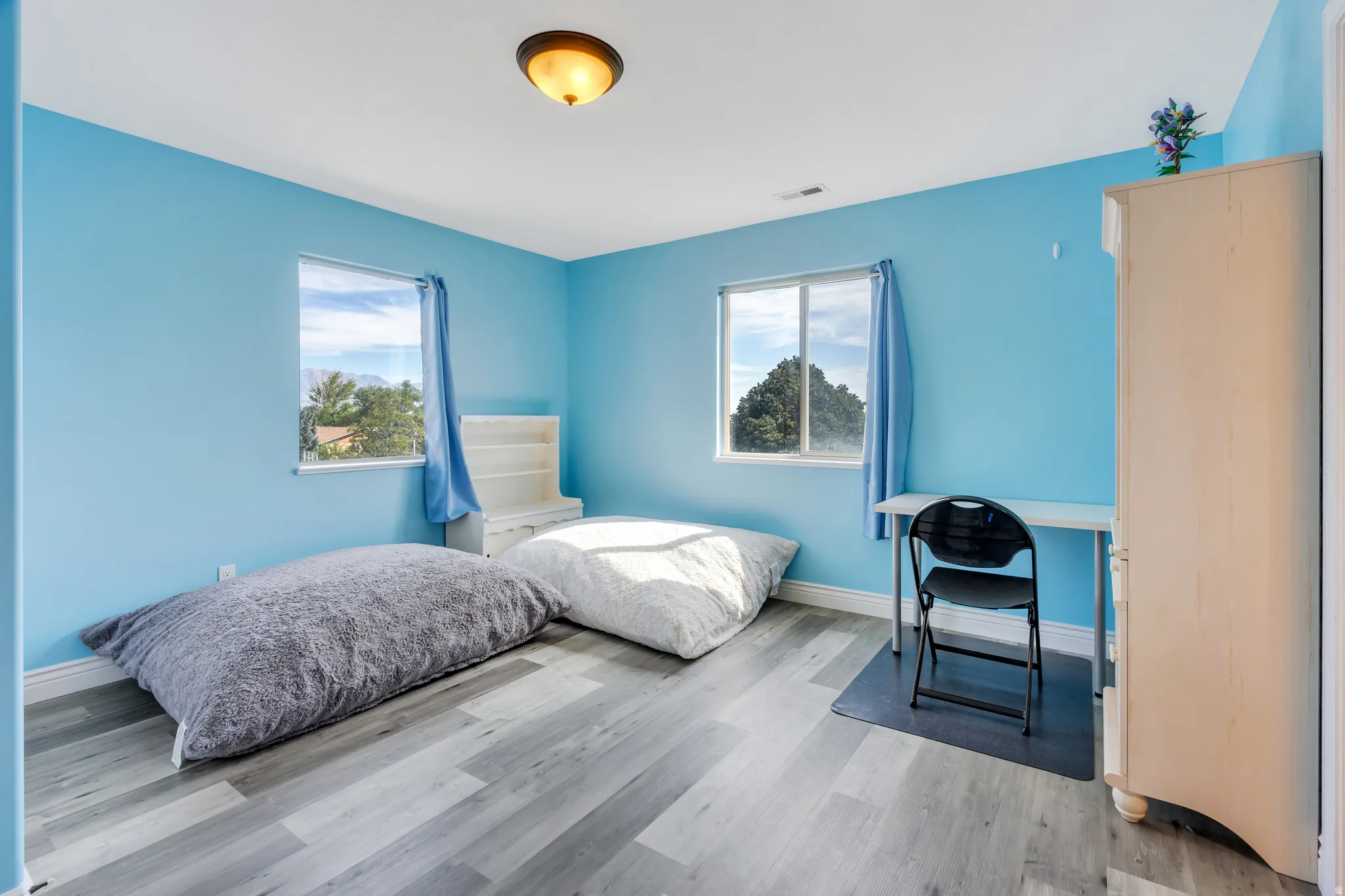 Wood-finish flooring with light blue walls, dual windows, built-in shelving, and a ceiling-mounted light fixture