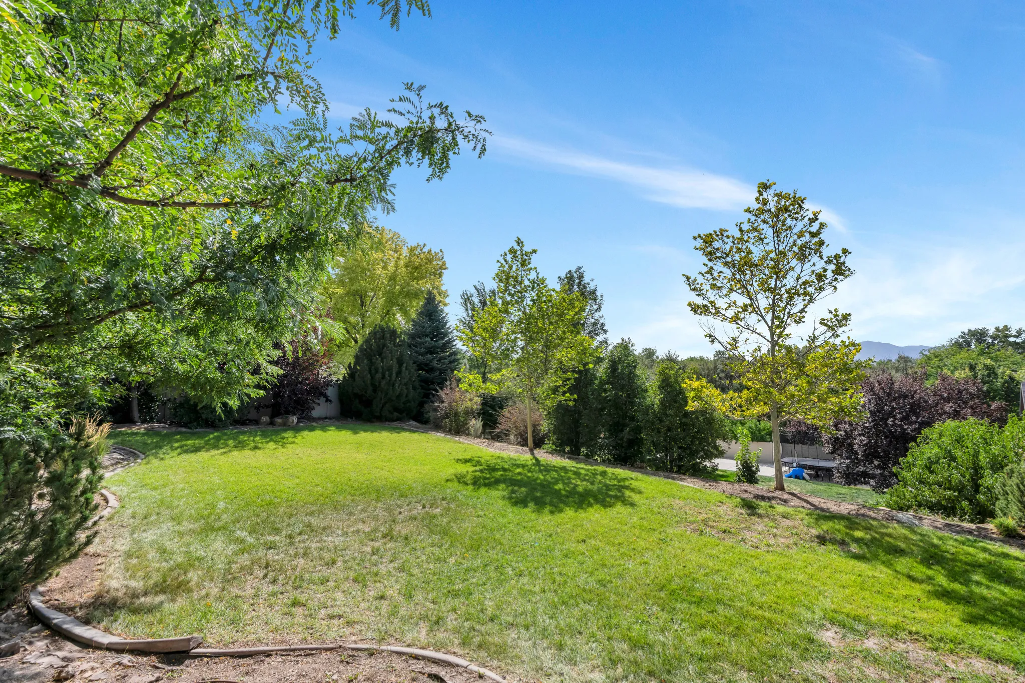 Expansive backyard featuring a manicured lawn, mature trees, and diverse shrubbery