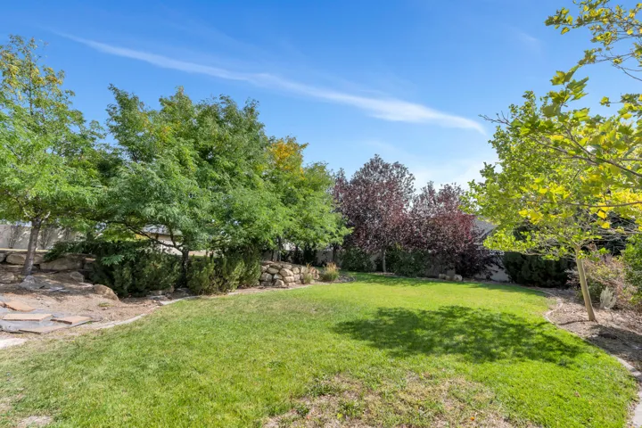 Expansive lawn area bordered by mature trees and shrubs
