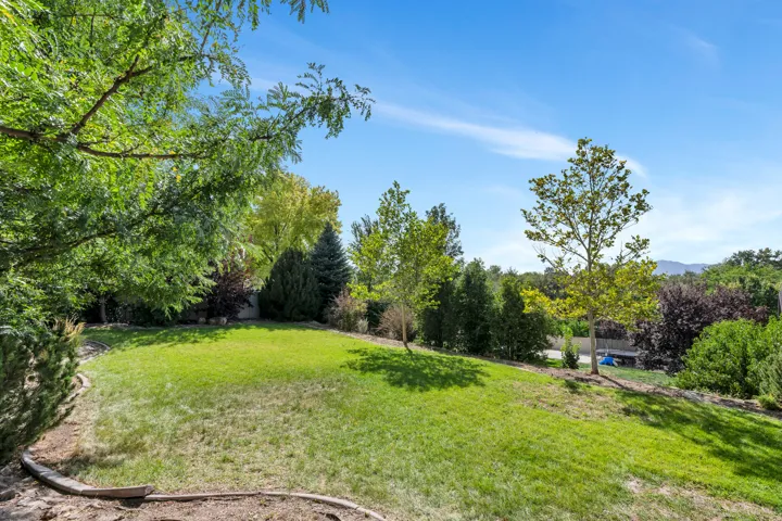 Expansive backyard featuring a manicured lawn, mature trees, and diverse shrubbery