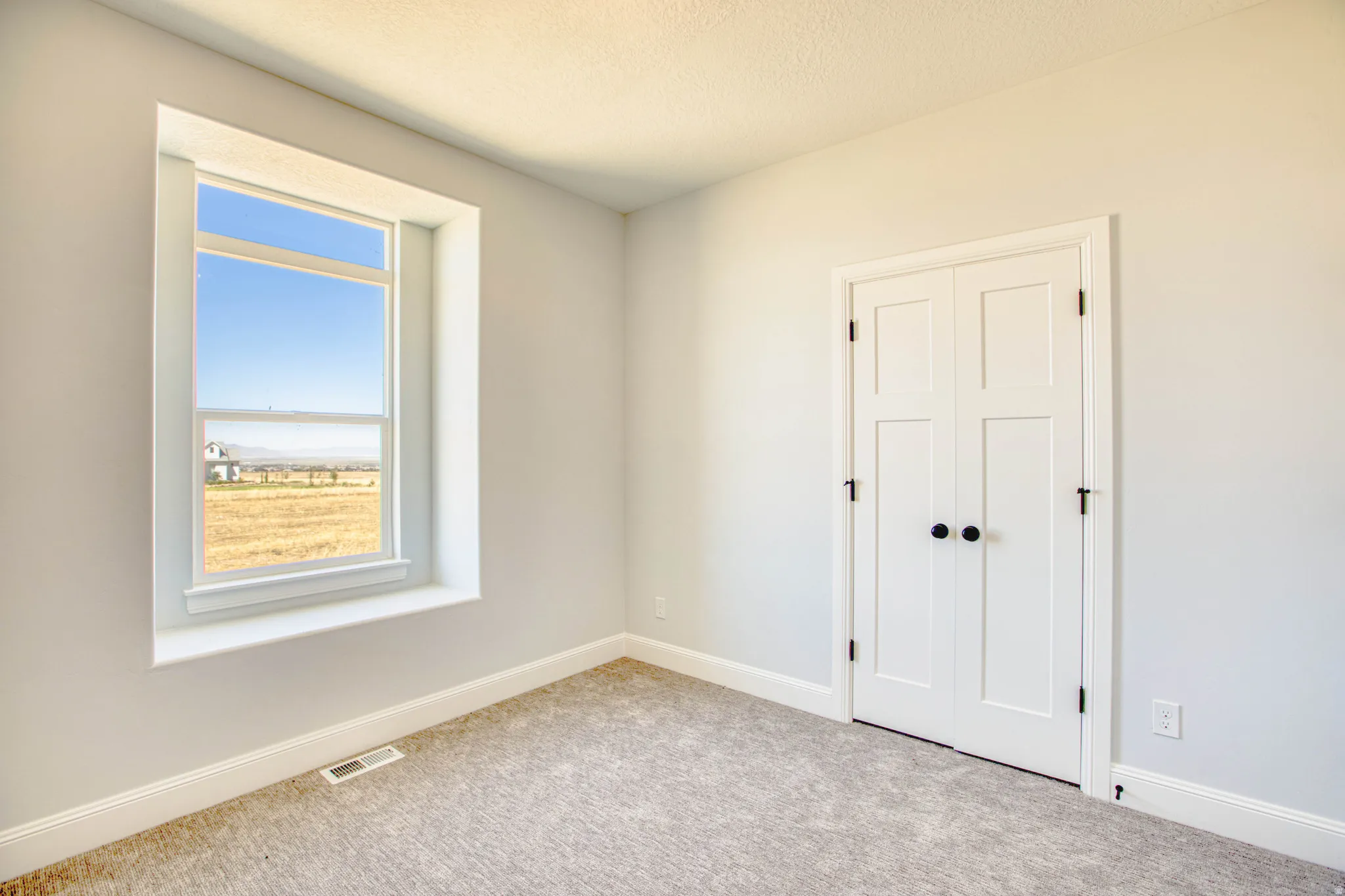 Light gray wall paint, textured carpeting, white trim, white window framing, and a white paneled door with matte black hardware
