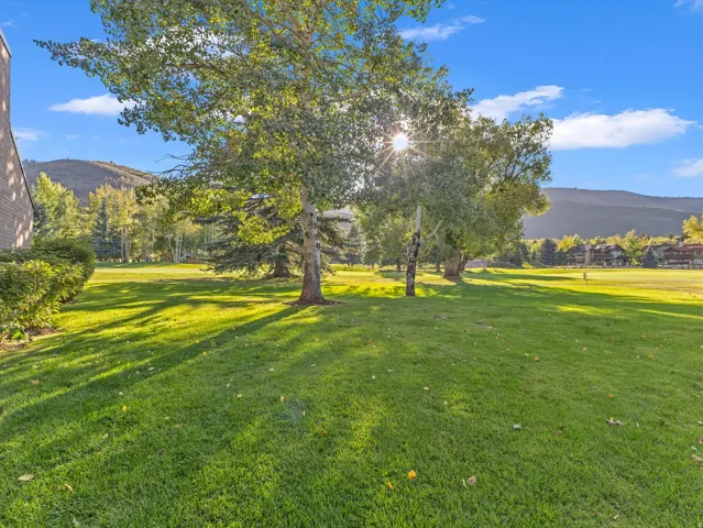 Green space between buildings