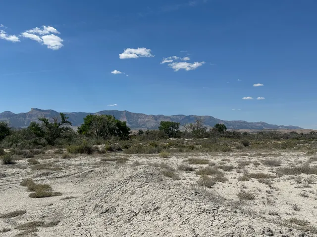 Expansive land featuring natural vegetation and a distant mountain range backdrop