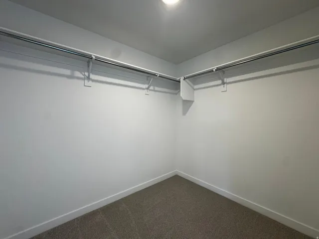 Walk-in closet with carpet flooring, white walls, and built-in clothes rods