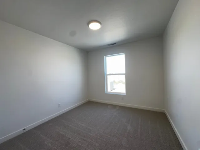 Neutral wall paint and textured carpeting
