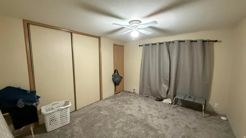 Plush carpet flooring, ceiling fan with light fixture, light-toned walls, and wood-finish trim
