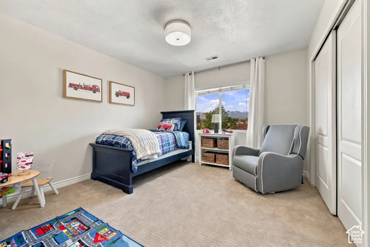 Recessed window with white trim, light-colored wall paint, ceiling-mounted light fixture, and neutral-toned carpeting