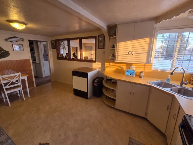Kitchen featuring a double basin sink, ample cabinet storage, and wood-finish flooring