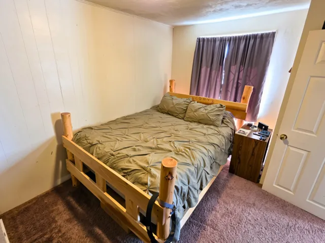 Carpeted flooring, paneled wall finishes, and a single window with curtain rods