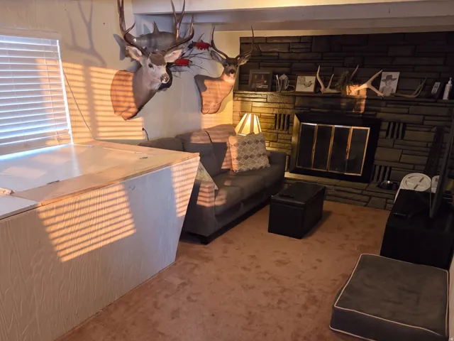 Stone-clad fireplace with a metal insert, carpeted flooring, and a built-in window structure