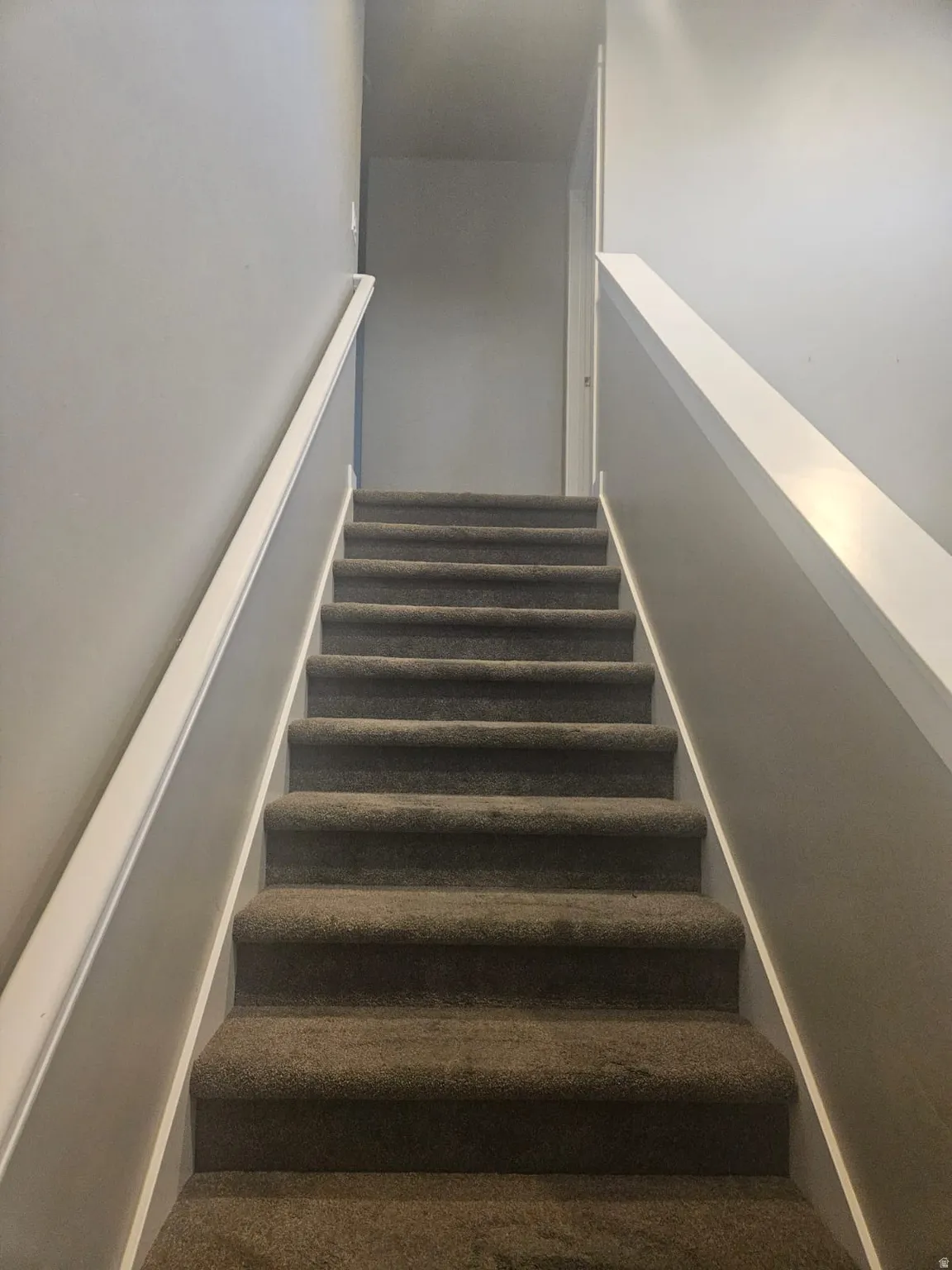 Carpeted staircase with light gray wall paint and white handrails