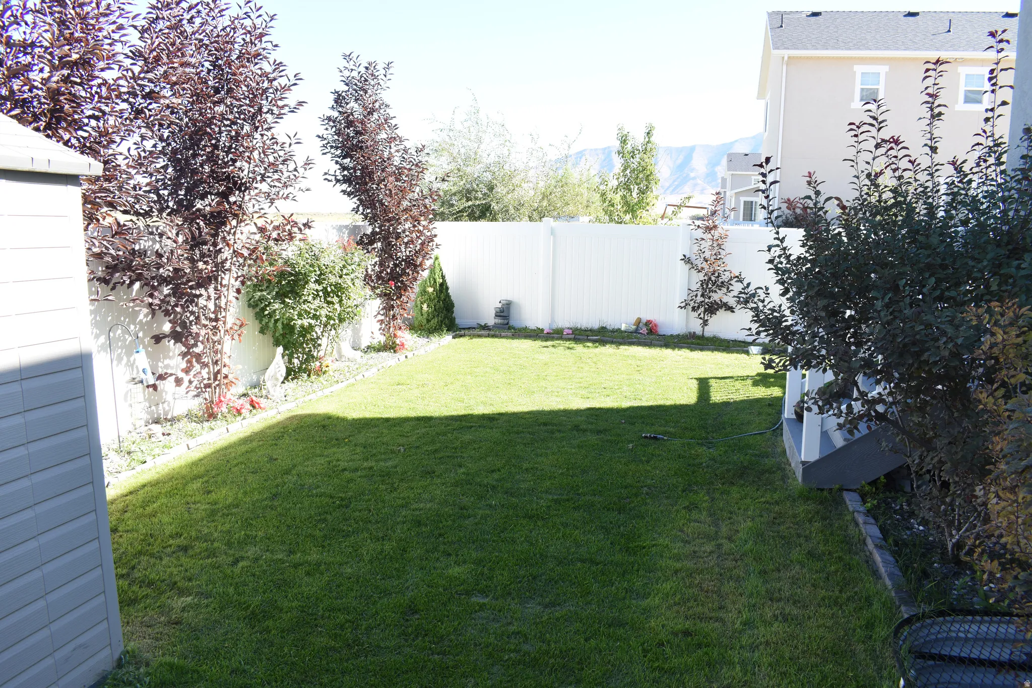 Expansive lawn area with a white privacy fence, mature trees, and a visible garden shed