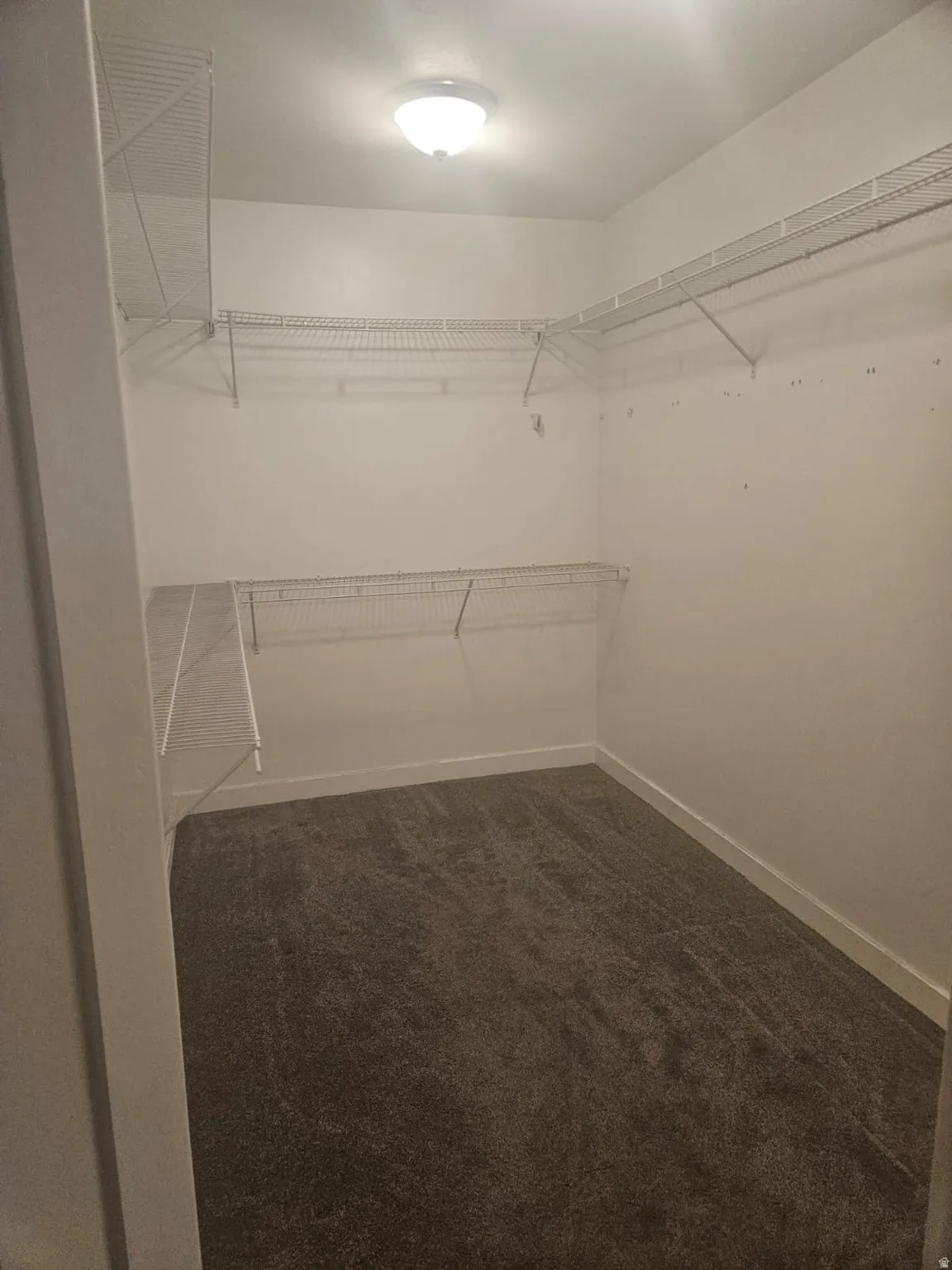 Wall-to-wall carpeting in a dark gray tone, white walls, built-in wire shelving, and an overhead flush-mount light fixture