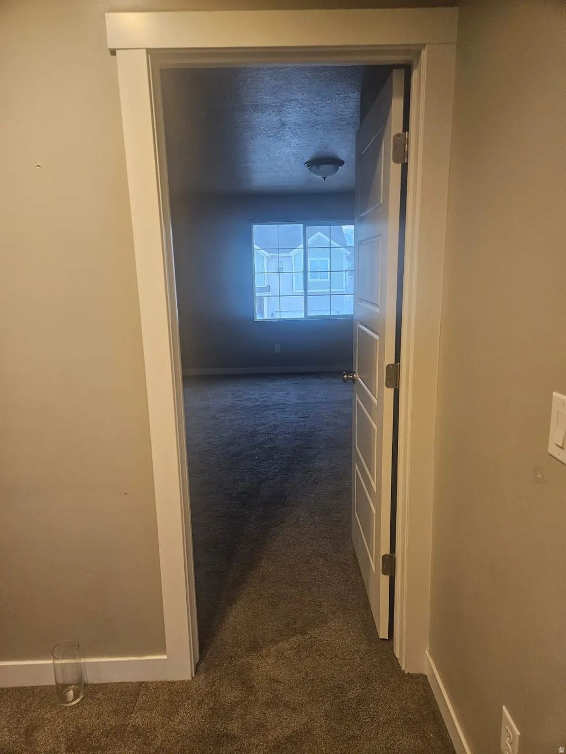 Room with dark gray wall-to-wall carpeting and a ceiling-mounted light fixture