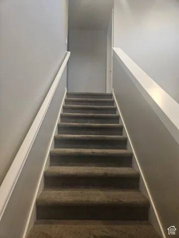 Carpeted staircase with light gray wall paint and white handrails