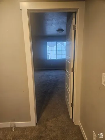 Room with dark gray wall-to-wall carpeting and a ceiling-mounted light fixture