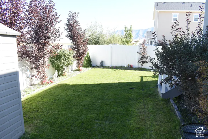 Expansive lawn area with a white privacy fence, mature trees, and a visible garden shed