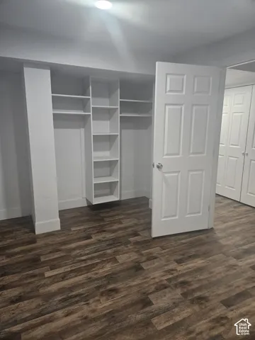 Built-in open shelving and hanging rods, wood-finish flooring, recessed lighting, and a paneled door