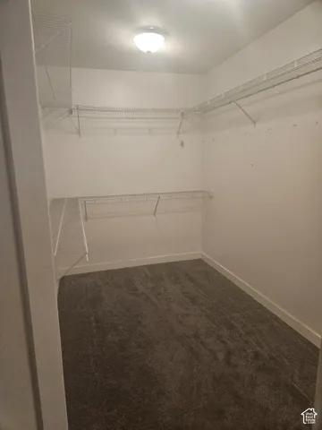 Wall-to-wall carpeting in a dark gray tone, white walls, built-in wire shelving, and an overhead flush-mount light fixture