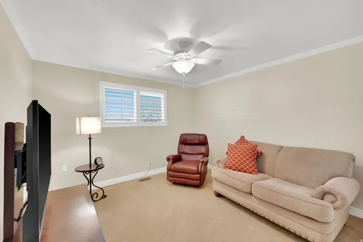 Carpeted room featuring crown molding, a ceiling fan, and window with plantation shutters