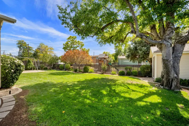 Expansive rear yard featuring a manicured lawn, mature shade tree, shrubbery, and paver stone pathway