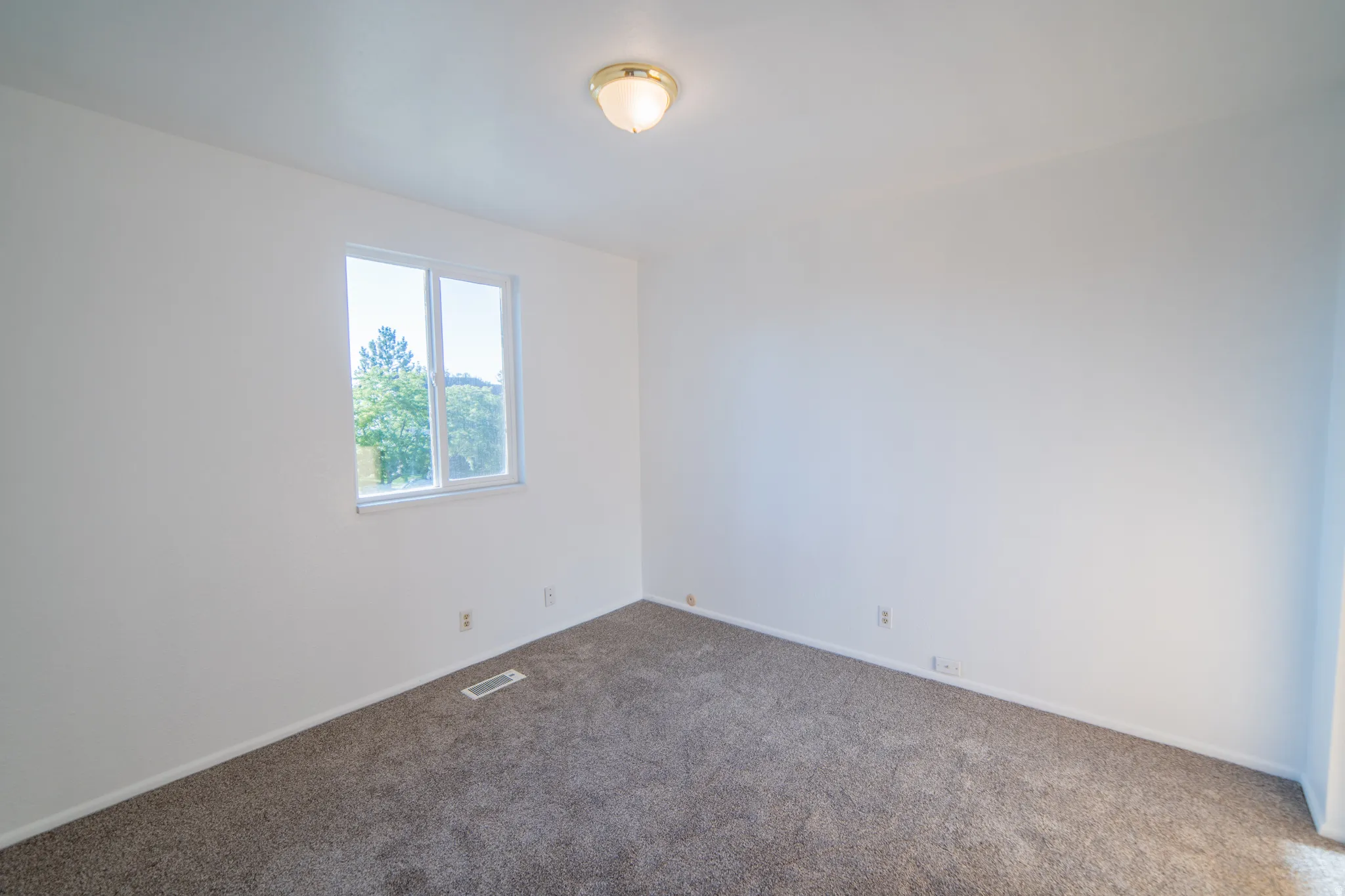 Neutral wall paint, carpet flooring, and a single window