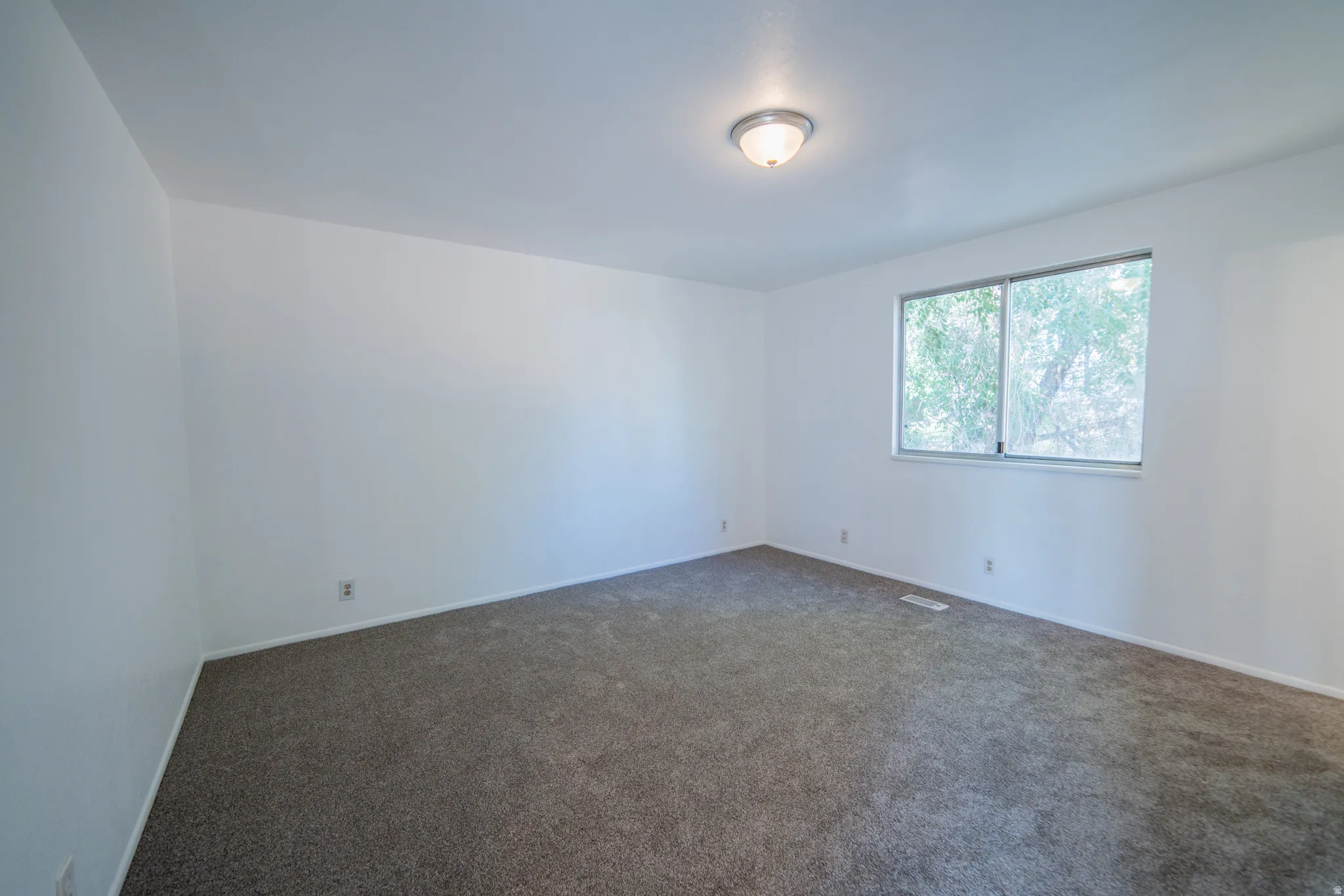 Neutral wall finishes, carpeted flooring, and a single window