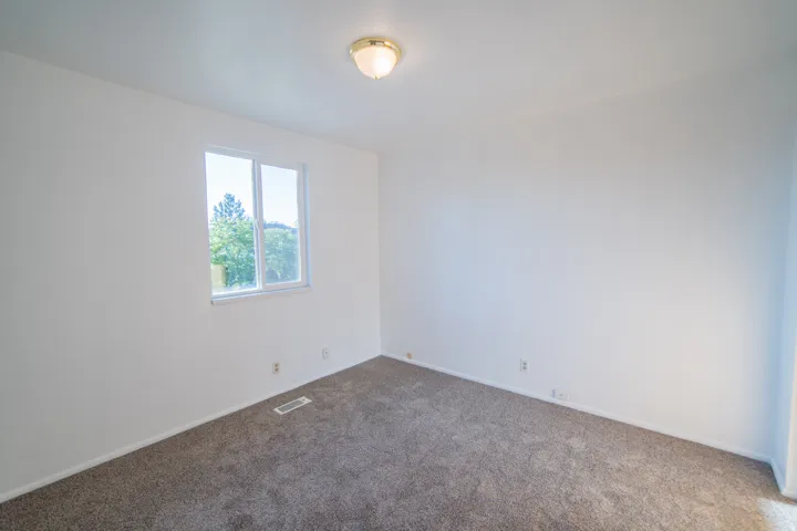 Neutral wall paint, carpet flooring, and a single window