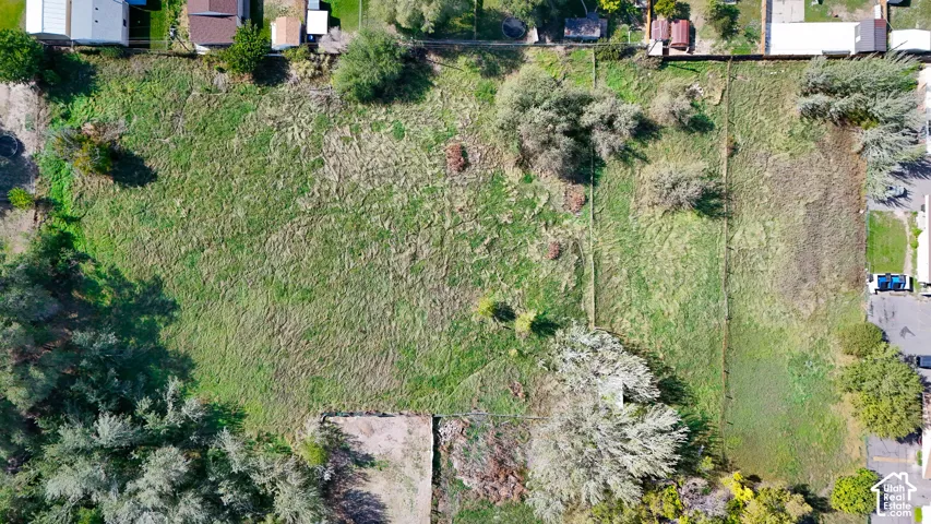 Expansive undeveloped lot with natural ground cover, mature trees, and partial fencing