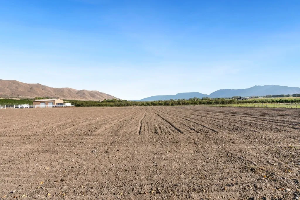 Expansive tilled agricultural land with distant mountain ranges and a clear sky backdrop