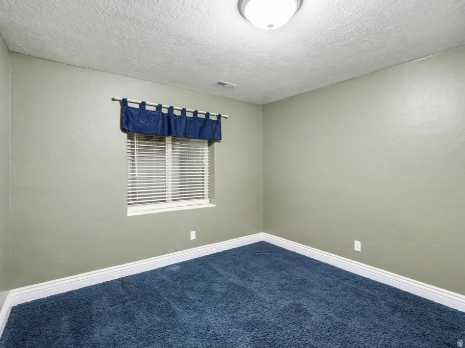 Wall-to-wall blue carpeting, window with horizontal blinds, and a flush mount ceiling light fixture