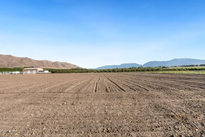 Expansive tilled agricultural land with distant mountain ranges and a clear sky backdrop