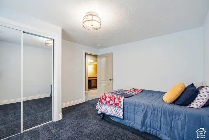 Plush carpeting, mirrored closet doors, and overhead lighting fixture